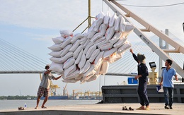 Bộ Công Thương tăng cường giải pháp thúc đẩy sản xuất, xuất khẩu và ổn định thị trường gạo