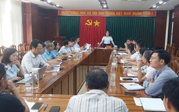 TP. Đà Nẵng công bố kết luận thanh tra về công tác quản lý, khai thác khoáng sản