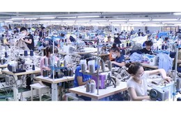 Thanh Hóa: Ngành dệt may vượt thách thức, mở rộng thị trường quốc tế