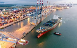 Hàng hải Việt Nam khẳng định vị thế trên bản đồ quốc tế