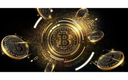 Giá Bitcoin hôm nay 30/9: Làn sóng chấp nhận Bitcoin dần tăng