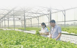 Thanh Hóa: Xóa bỏ điểm nghẽn trong phát triển nông nghiệp công nghệ cao