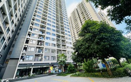 Căn hộ chung cư có thời hạn được nhiều người "săn tìm"
