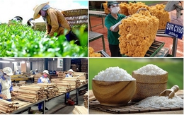 8 tháng, xuất khẩu nông lâm thủy, hải sản đạt 45,37 tỷ USD