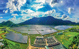 Triển vọng trung và dài hạn của năng lượng tái tạo Việt Nam