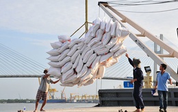 Bộ Công Thương lên phương án ứng phó việc Philippines tạm dừng nhập khẩu gạo