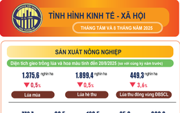 Nhiều điểm sáng trong bức tranh kinh tế - xã hội Việt Nam 8 tháng năm 2025
