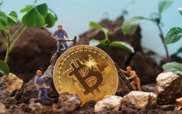 Giá Bitcoin hôm nay 8/9: Độ khó đào Bitcoin lập đỉnh, thách thức các thợ mỏ nhỏ lẻ