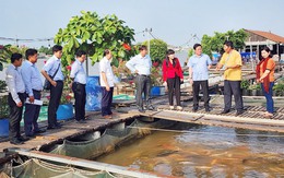 Khảo sát du lịch cộng đồng Cồn Sơn