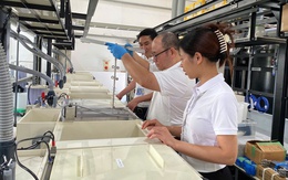 Năm 2026, Hà Nội đặt mục tiêu có khoảng 1.040 doanh nghiệp công nghiệp hỗ trợ