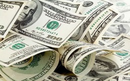 Tỷ giá USD hôm nay 19/1: Tỷ giá trung tâm tăng 1 đồng