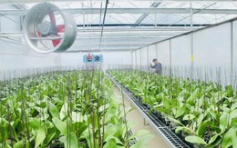 Thanh Hóa thúc đẩy chuyển đổi số từ sản xuất đến tiêu thụ nông sản