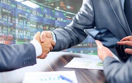 Khối ngoại gia tăng sự hiện diện tại nhiều ngân hàng Việt