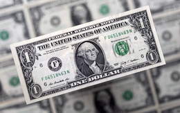 Tỷ giá USD hôm nay 21/1: Tỷ giá trung tâm giảm 6 đồng