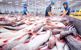 Xuất khẩu cá tra năm 2025 cán đích gần 2,2 tỷ USD