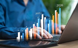 Lợi nhuận các công ty chứng khoán năm 2025 phân hóa rõ nét