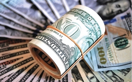 Tỷ giá USD hôm nay 22/1: Tỷ giá trung tâm tăng 1 đồng