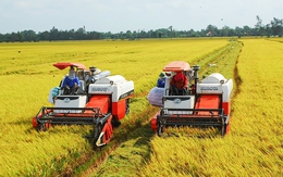 Công tác dự trữ quốc gia năm 2025 đạt nhiều kết quả tích cực