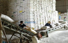 Cục Dự trữ Nhà nước dự kiến nhập kho 420.000 tấn lương thực trong năm 2026