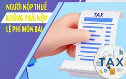 Doanh nghiệp, hộ kinh doanh không phải khai, nộp phí môn bài từ 2026