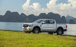 Doanh số xe bán tải động cơ đốt trong cao nhất trong 5 năm qua