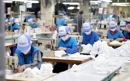 Mức thu nhập bình quân của lao động di cư cao hơn lao động ở địa phương