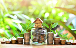 Nhu cầu vốn cho chuyển đổi xanh tại Việt Nam rất lớn