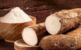 Xuất khẩu sắn của Việt Nam đứng thứ ba thế giới