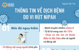 TP.HCM: Tăng cường phòng, chống dịch bệnh do virus Nipah gây ra