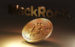 Giá Bitcoin hôm nay 6/1: BlackRock dự báo Bitcoin có thể lên 700.000 USD