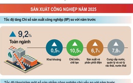 Sản xuất công nghiệp IIP cao nhất trong vòng 6 năm qua