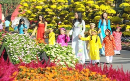 Chỉ thị của Ban Thường vụ Tỉnh ủy Cà Mau về tổ chức Tết Nguyên đán Bính Ngọ năm 2026