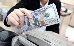 Tỷ giá USD hôm nay 8/1: Tỷ giá trung tâm tăng 3 đồng