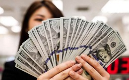 Tỷ giá USD hôm nay 1/10: Tỷ giá trung tâm giảm 3 đồng