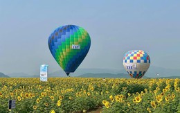 Từ cánh đồng hướng dương 150 ha đến kỷ lục thế giới tái xác lập năm 2026 của TH