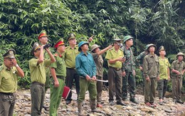 Phú Thọ: Bảo vệ rừng là trách nhiệm của toàn dân
