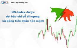 VN-Index được dự báo chỉ số đi ngang, và dòng tiền phân hóa mạnh