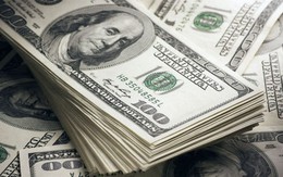 Tỷ giá USD hôm nay 13/10: Tỷ giá trung tâm tăng 12 đồng