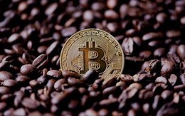 Giá Bitcoin hôm nay 14/10: Đỉnh mới của Bitcoin sẽ xuất hiện trong 8 tháng tới