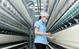 Gia hạn thuế chống bán phá giá sợi polyester nhập khẩu đến năm 2031