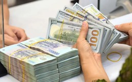 Việt Nam là một trong 5 thị trường trọng điểm của BII