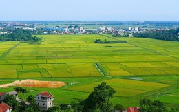 Hà Nội hoàn thành 99,6% mục tiêu xây dựng dữ liệu đất đai