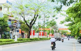 Thanh Hóa: Trách nhiệm người đứng đầu tạo sức bật cho nông thôn mới