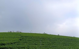 Thái Nguyên;
" Đại Phúc – Điểm đến du lịch xanh"