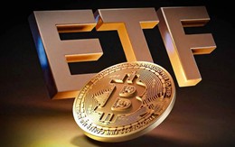 Giá Bitcoin hôm nay 19/10: Các ETF Bitcoin bị rút ròng 228,6 triệu USD
