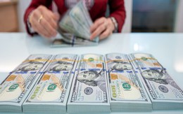 Tỷ giá USD hôm nay 2/10: Tỷ giá trung tâm ở mức 25.636 đồng