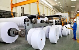 Ngành giấy đang chứng kiến đà phục hồi mạnh mẽ