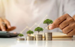 Dragon Capital đề xuất nhiều giải pháp chiến lược thu hút dòng vốn đầu tư dài hạn