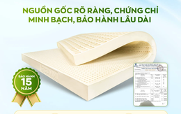 Mua nệm online cần kiểm tra những thông tin nào trước khi đặt hàng?
