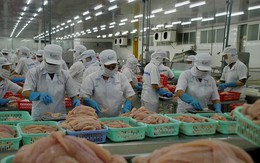 VEFTA mở rộng cơ hội xuất khẩu, thúc đẩy chuỗi cung ứng thủy sản Việt Nam